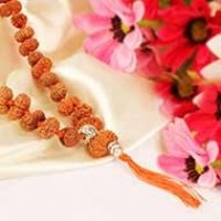 14 Mukhi Rudraksha Mala