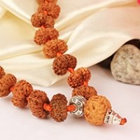 13 Mukhi Rudraksha Mala